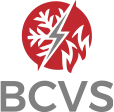 Logo BCVS